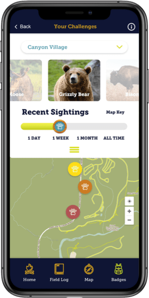 Find active animals in the Yellowstone National park with the Yellowstone Explorer app