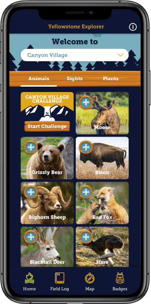 Check off animals in Yellowstone National Park on your phone using the Yellowstone Explorer App